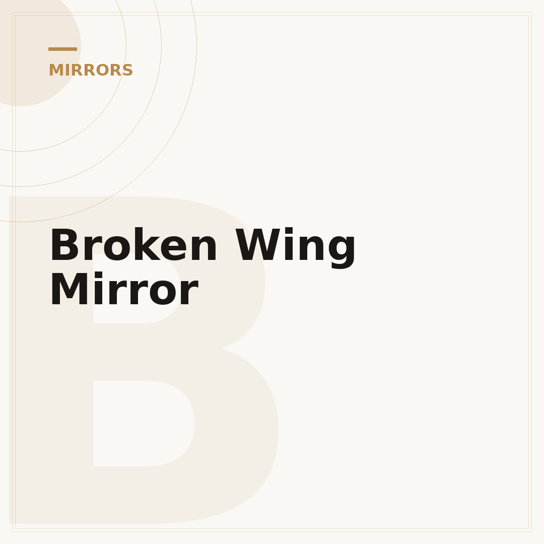Broken Wing Mirror
