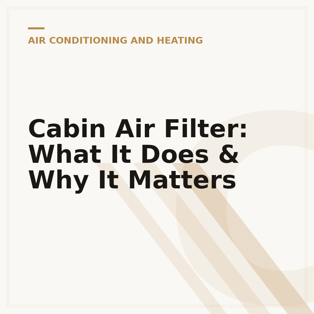 Cabin Air Filter: What It Does & Why It Matters