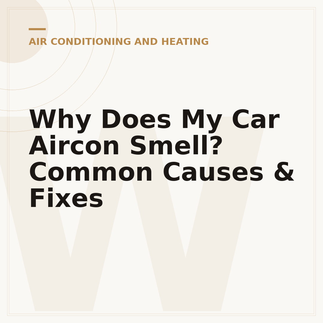Why Does My Car Aircon Smell? Common Causes & Fixes