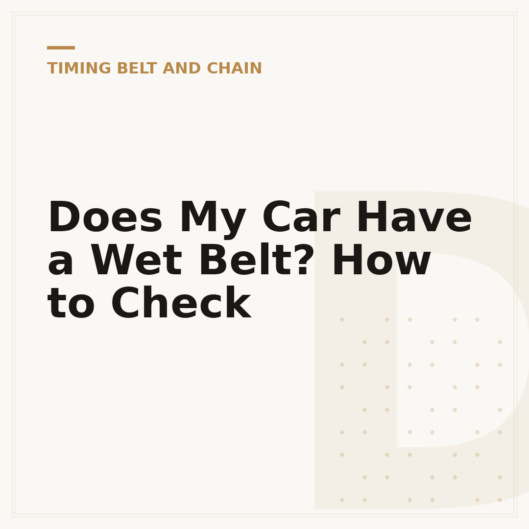 Does My Car Have a Wet Belt? How to Check