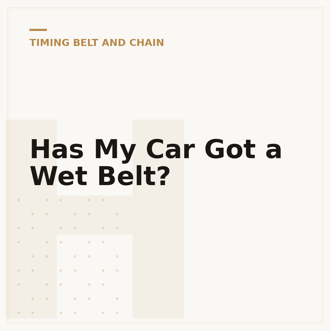 Has My Car Got a Wet Belt?