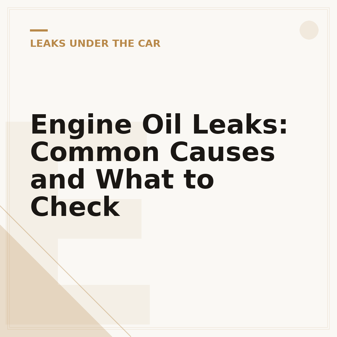 Engine Oil Leaks: Common Causes and What to Check