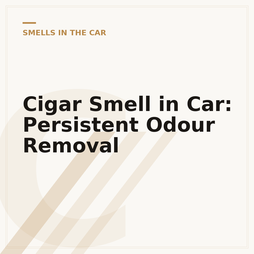 Cigar Smell in Car: Persistent Odour Removal