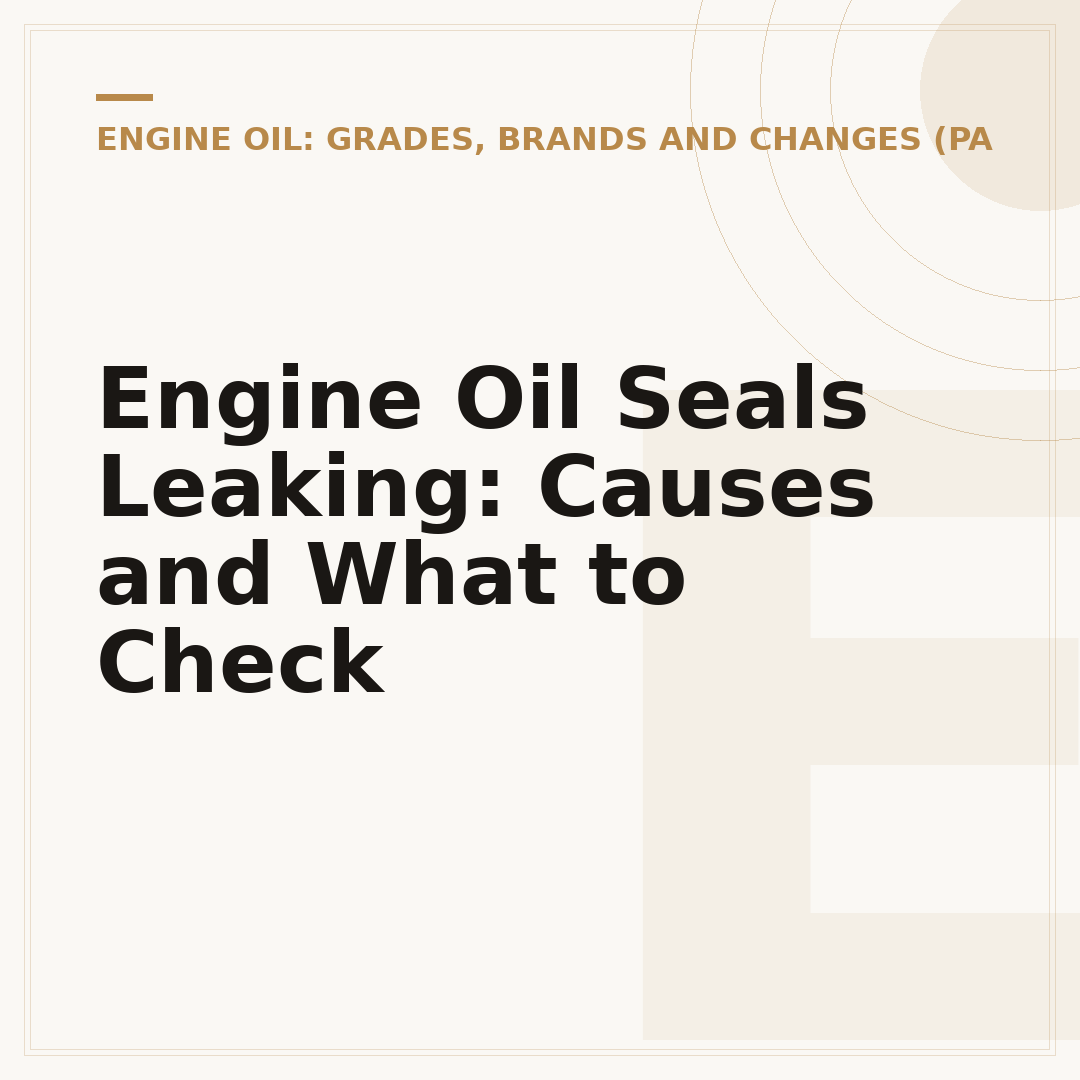 Engine Oil Seals Leaking: Causes and What to Check