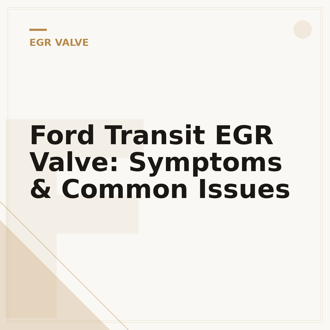 Ford Transit EGR Valve: Symptoms & Common Issues