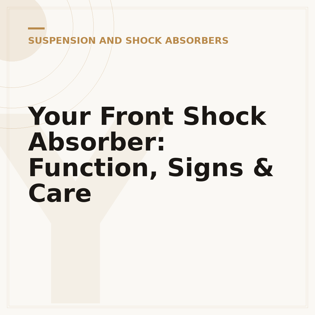 Your Front Shock Absorber: Function, Signs & Care
