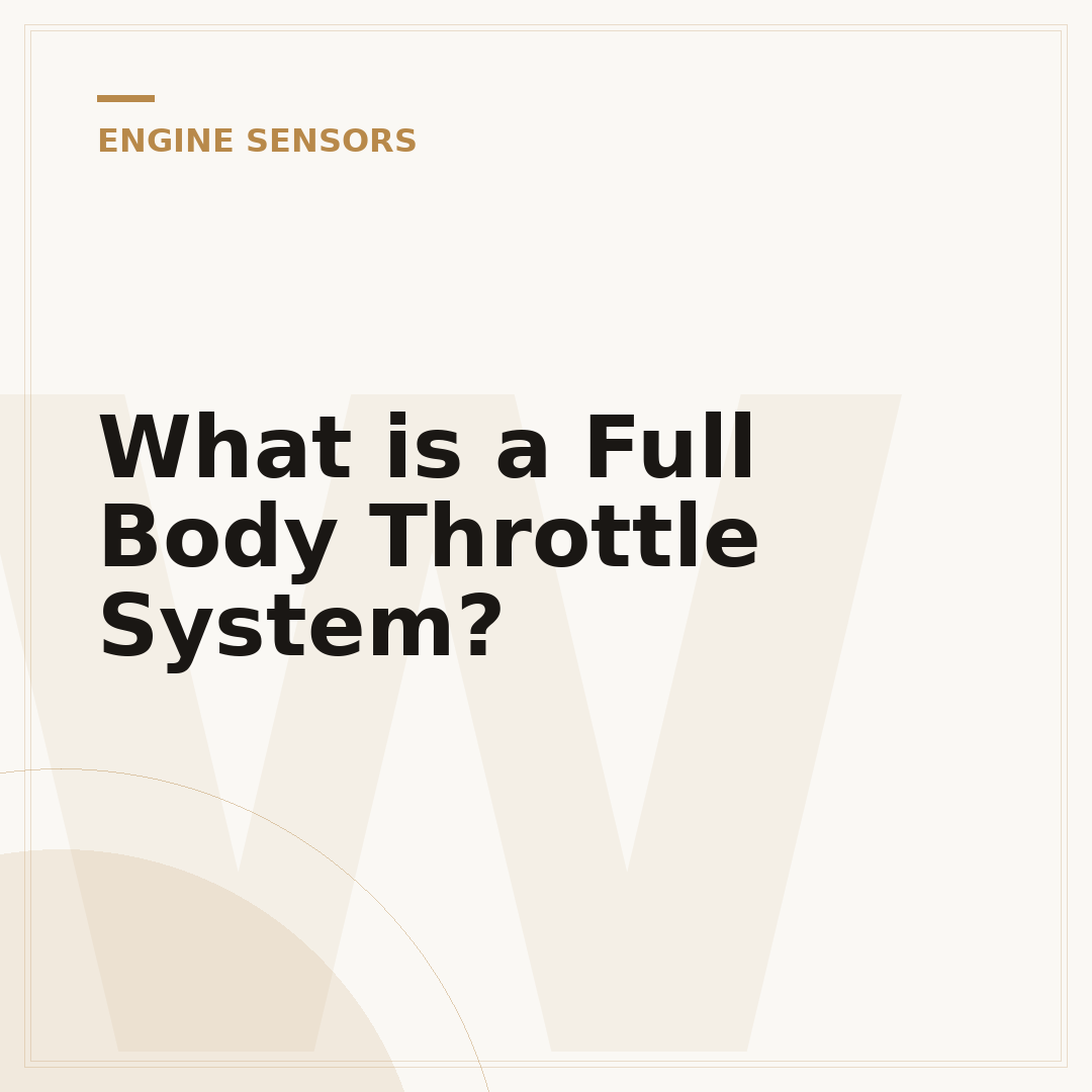 What is a Full Body Throttle System?