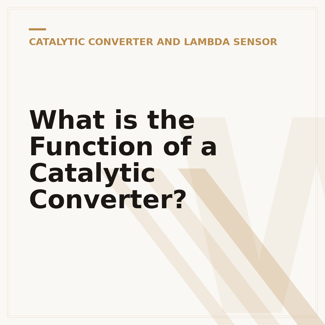 What is the Function of a Catalytic Converter?