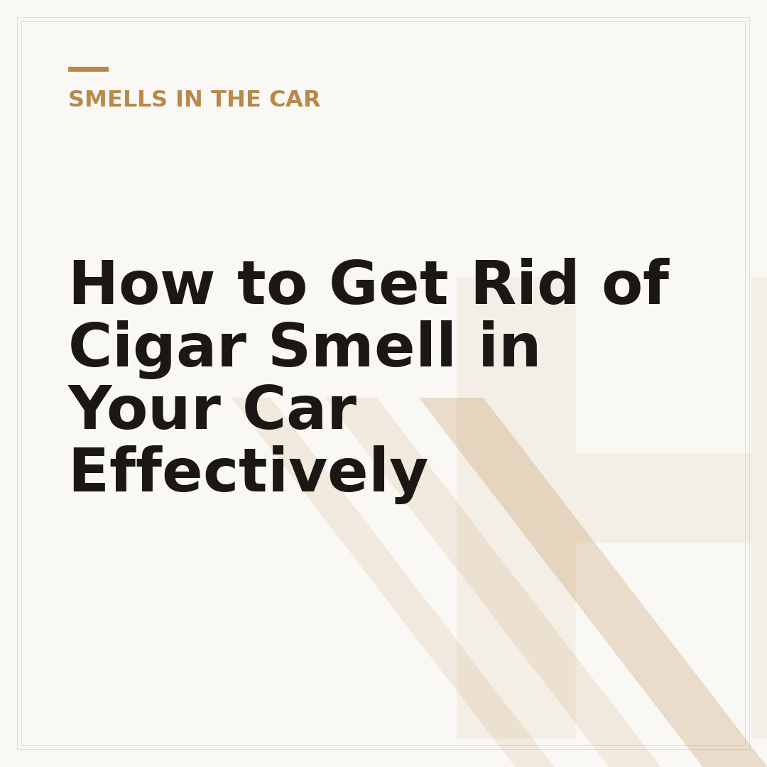 How to Get Rid of Cigar Smell in Your Car Effectively