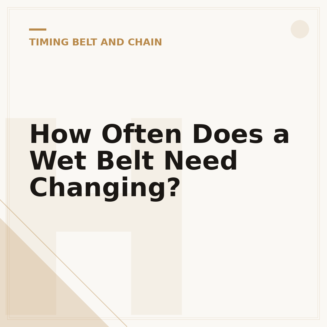 How Often Does a Wet Belt Need Changing?