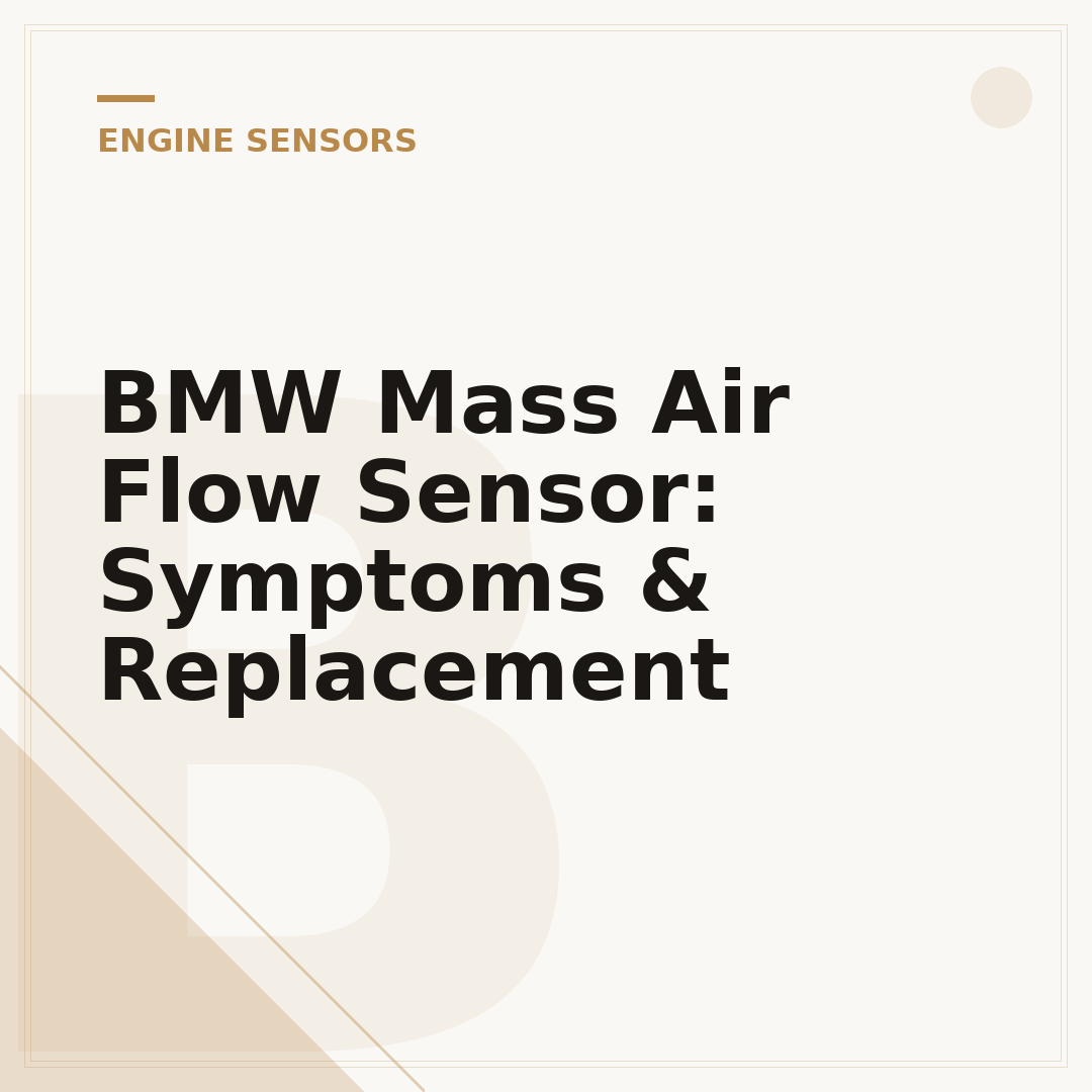 BMW Mass Air Flow Sensor: Symptoms & Replacement