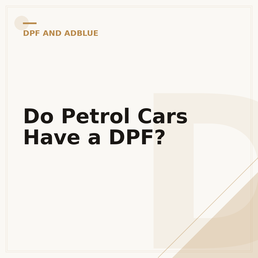 Do Petrol Cars Have a DPF?