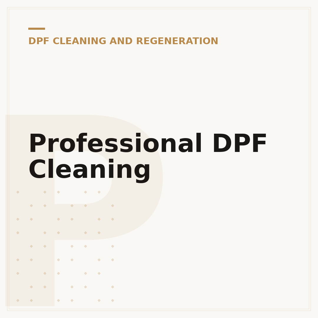 Professional DPF Cleaning