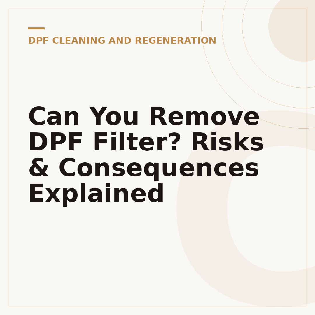Can You Remove DPF Filter? Risks & Consequences Explained