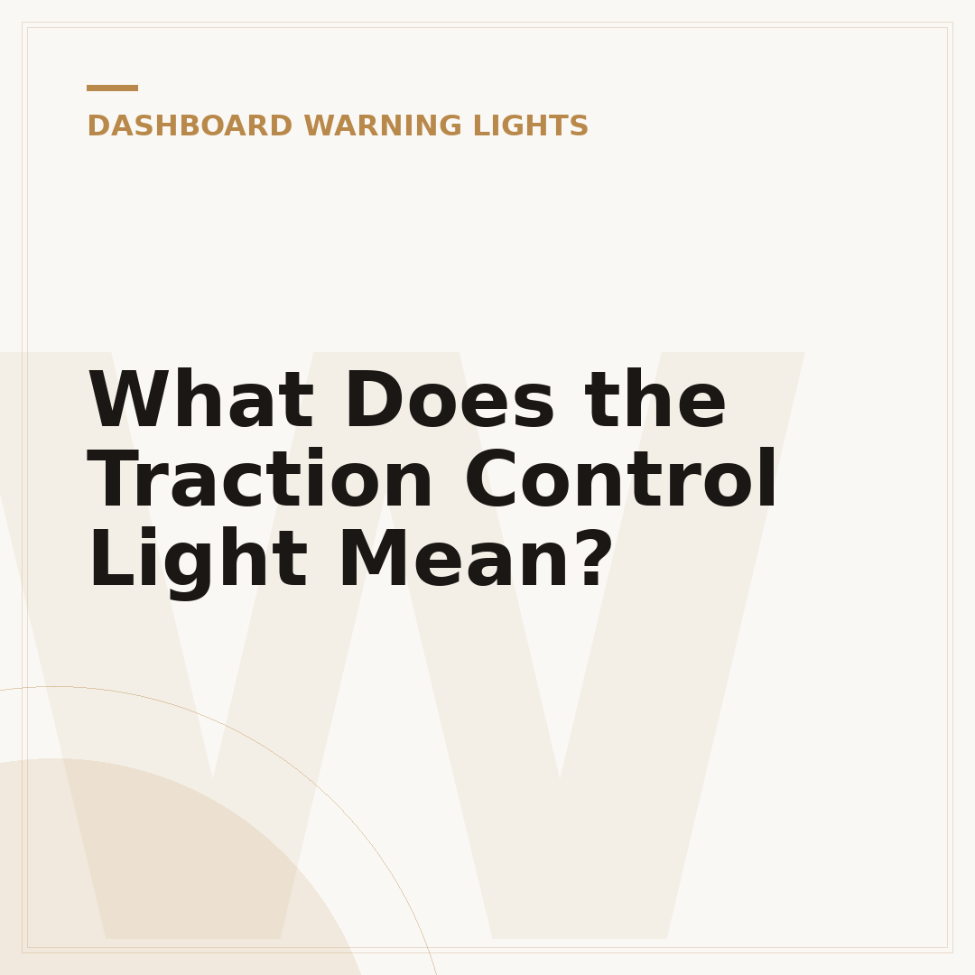 What Does the Traction Control Light Mean?