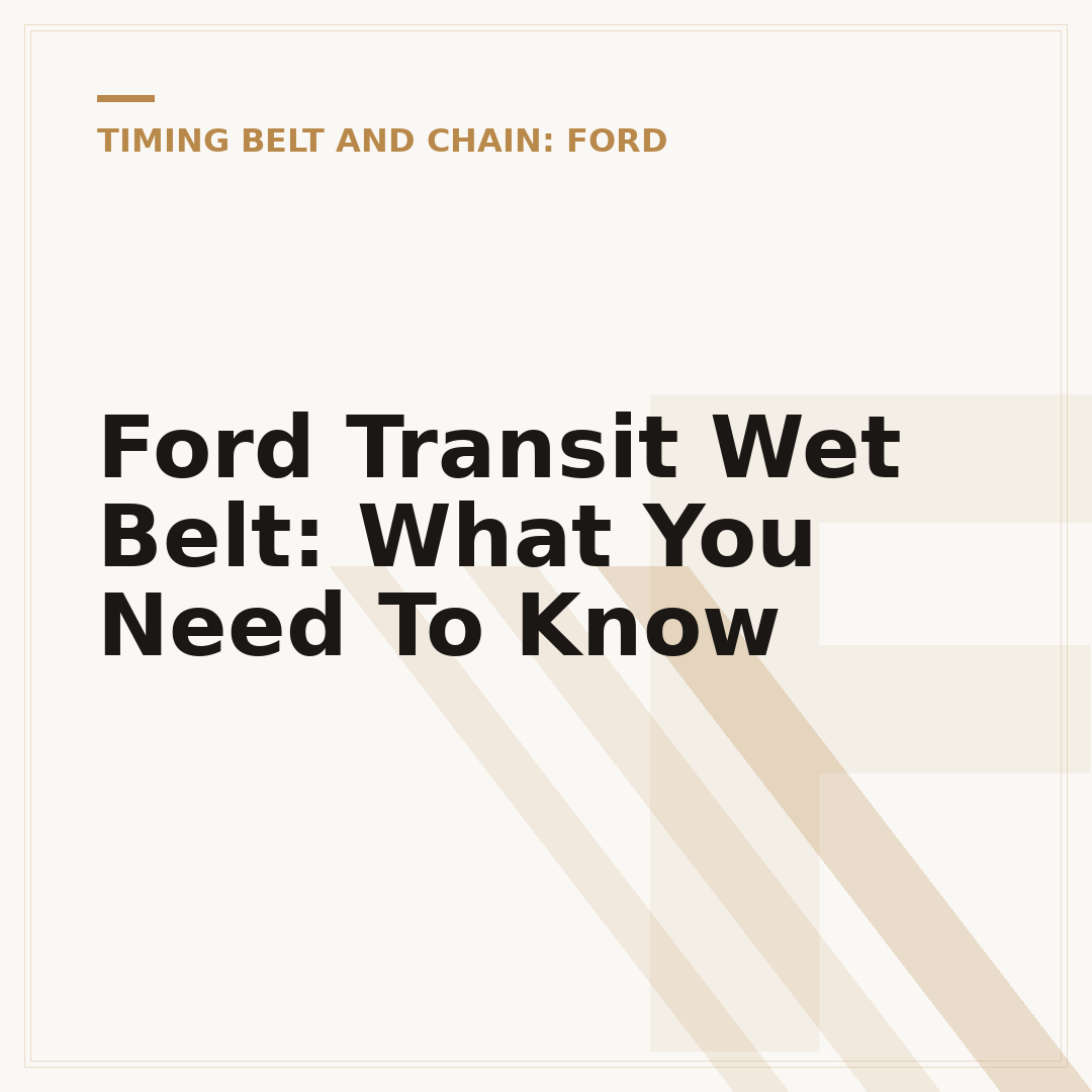 Ford Transit Wet Belt: What You Need To Know