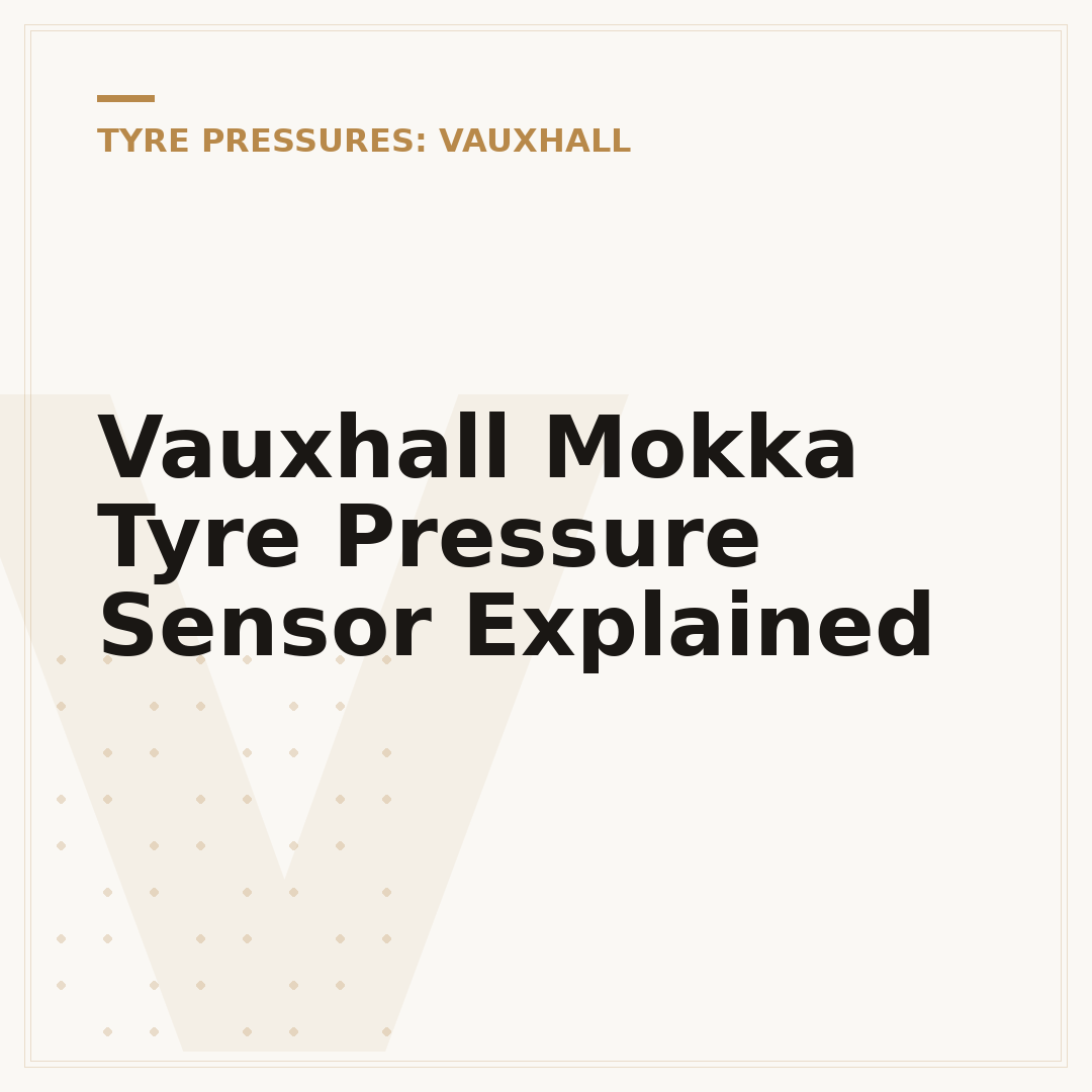 Vauxhall Mokka Tyre Pressure Sensor Explained