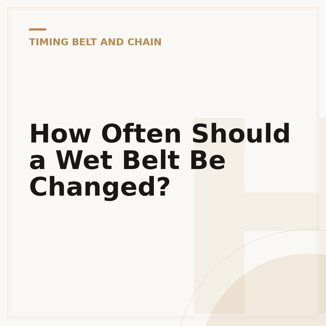How Often Should a Wet Belt Be Changed?