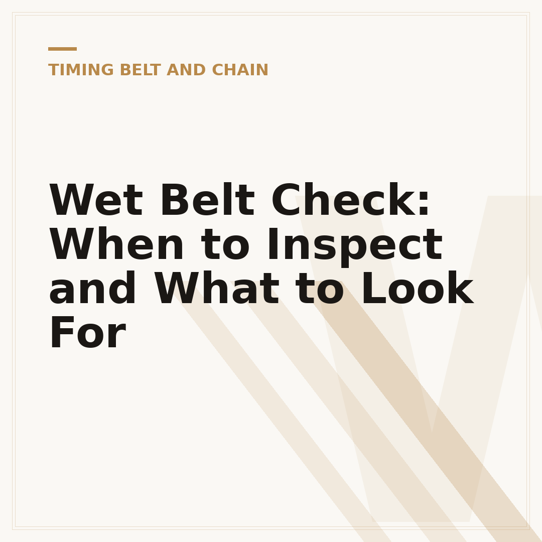 Wet Belt Check: When to Inspect and What to Look For