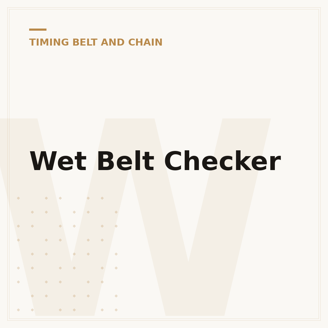 Wet Belt Checker