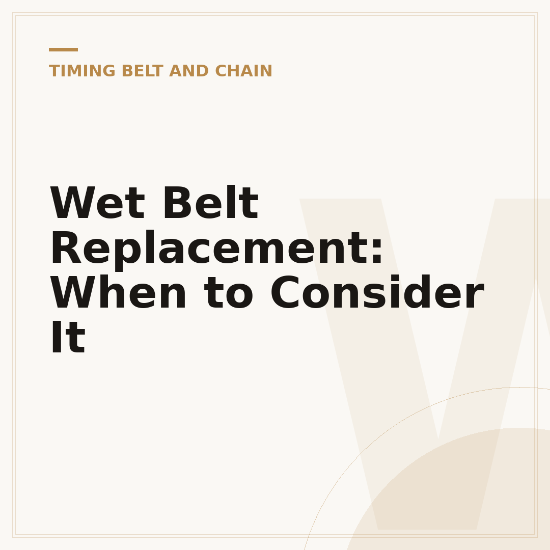 Wet Belt Replacement: When to Consider It