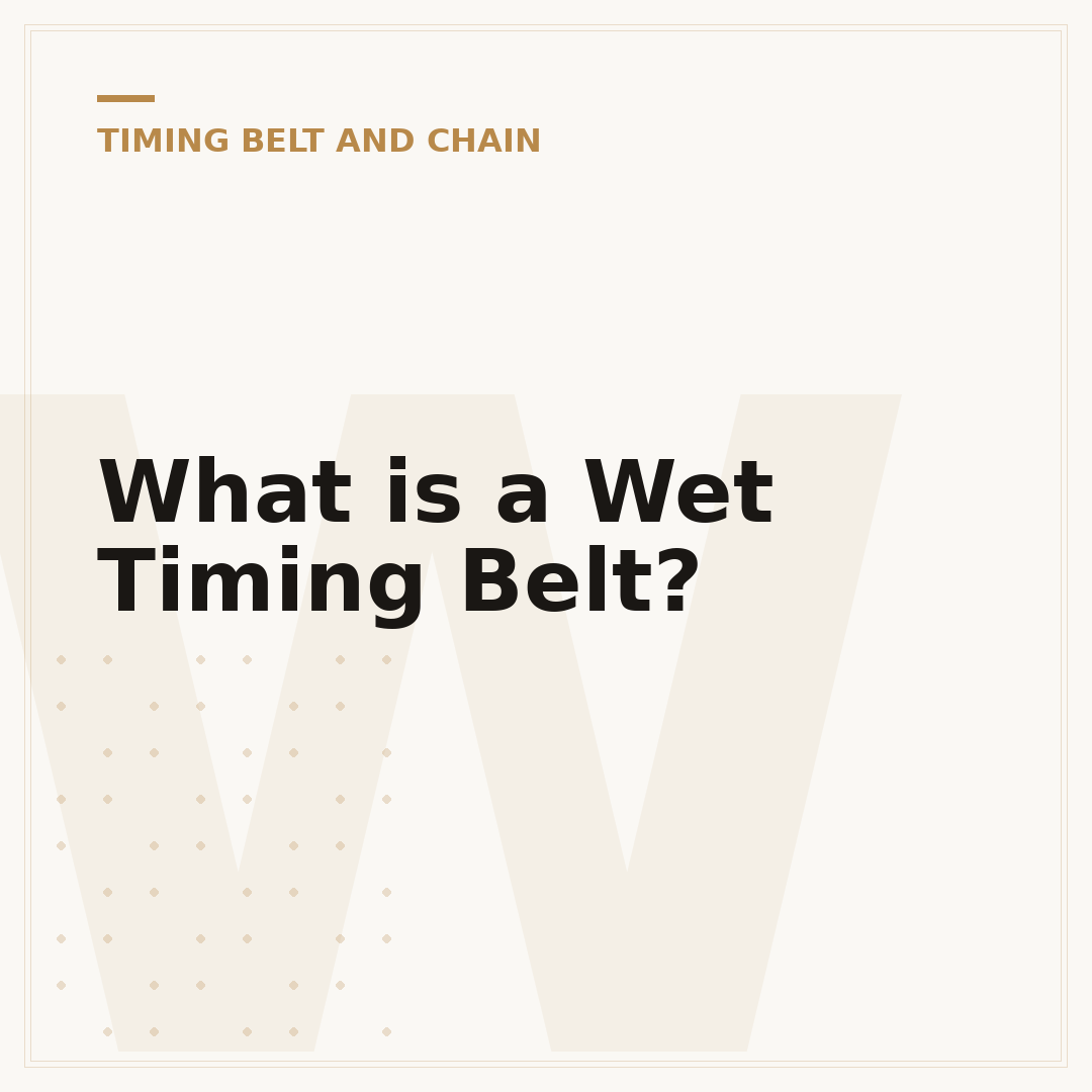 What is a Wet Timing Belt?