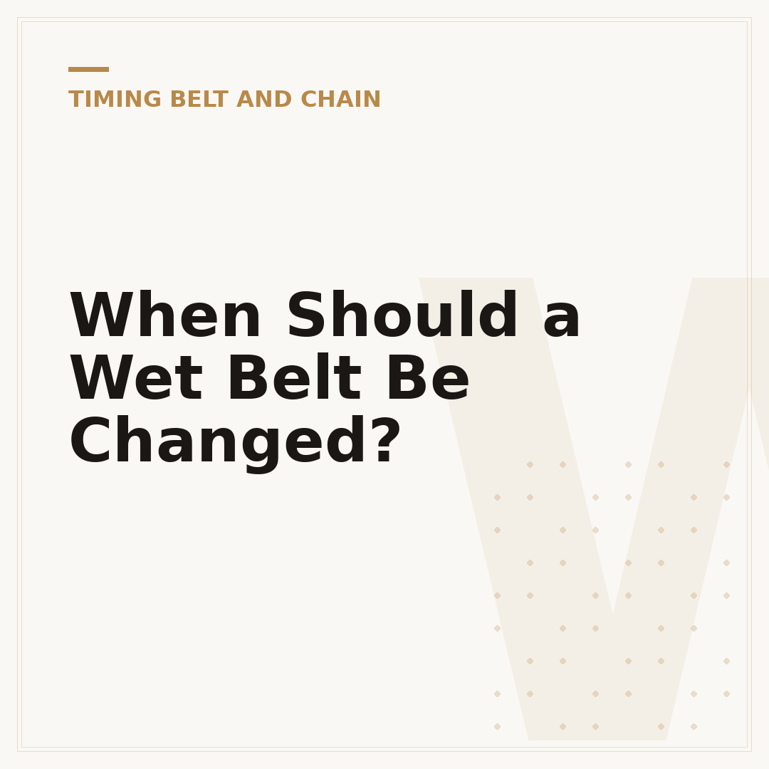 When Should a Wet Belt Be Changed?
