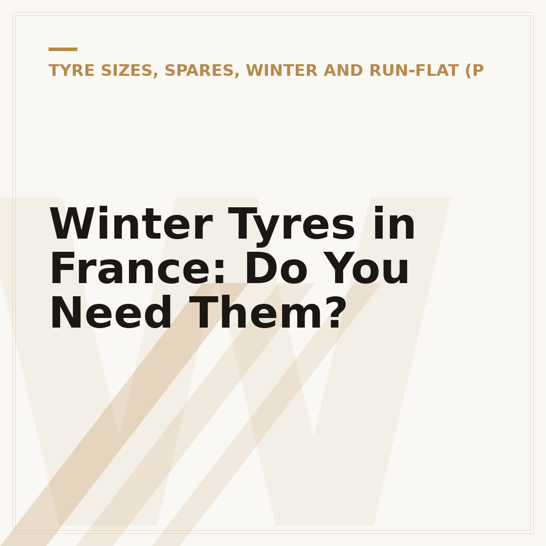 Winter Tyres in France: Do You Need Them?